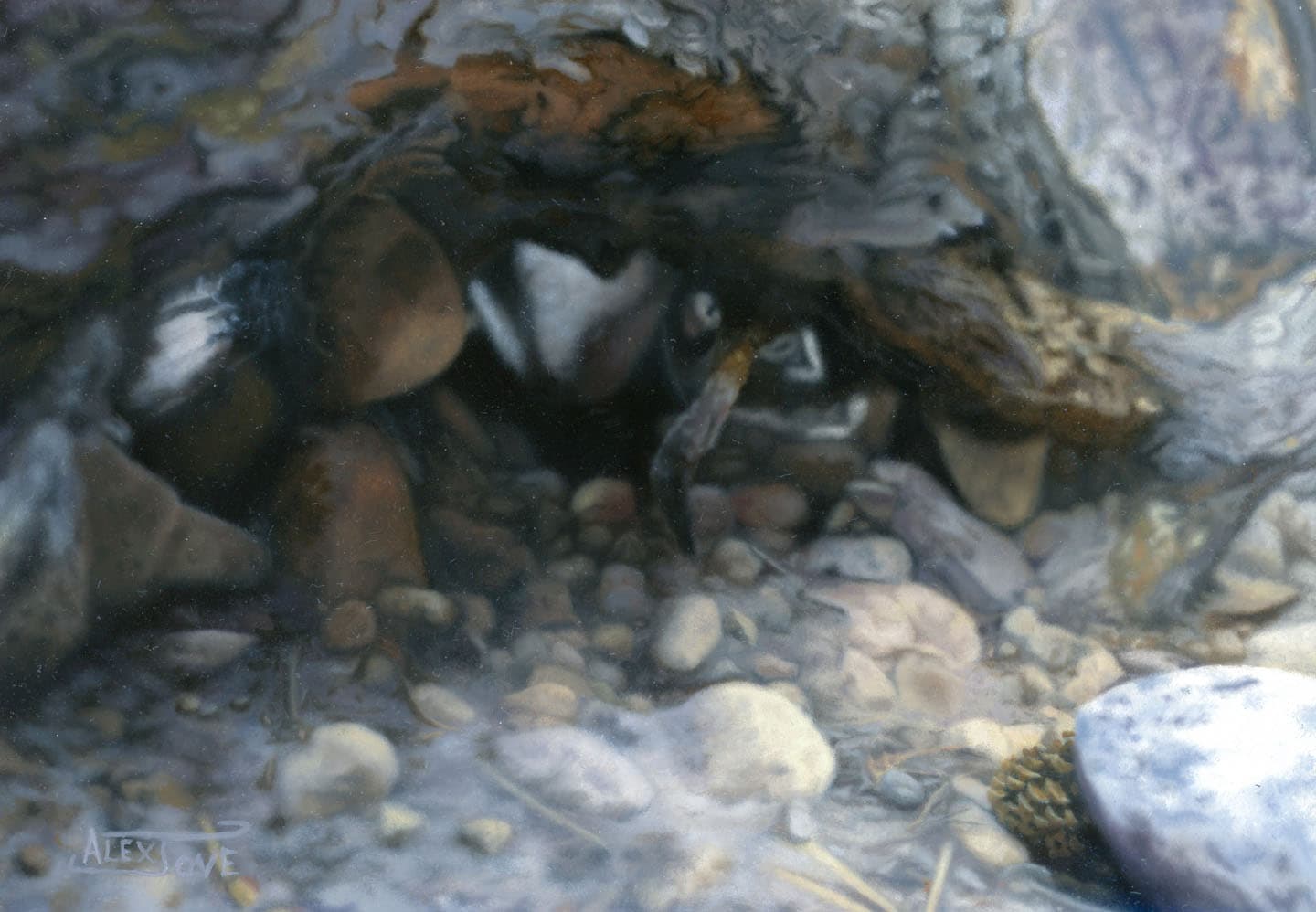 Rocks and Roots