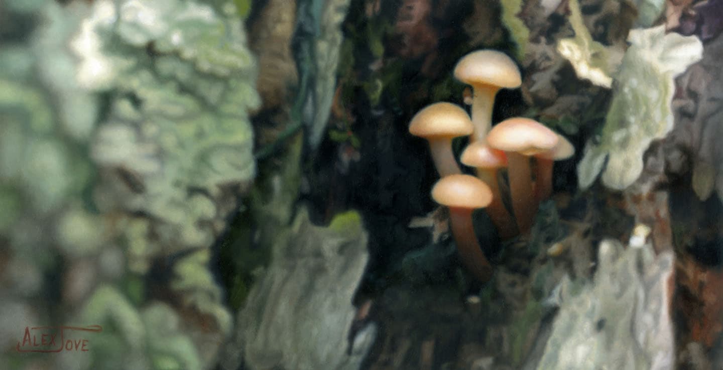 Tiny Adventure